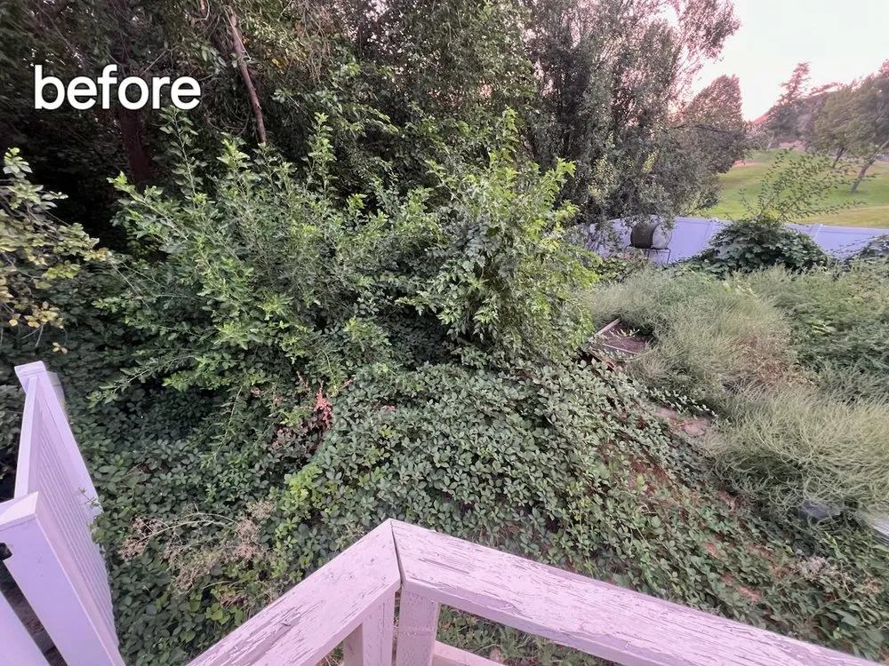 Trusted landscape installation in Lewiston, ID - Altitude Tree Service