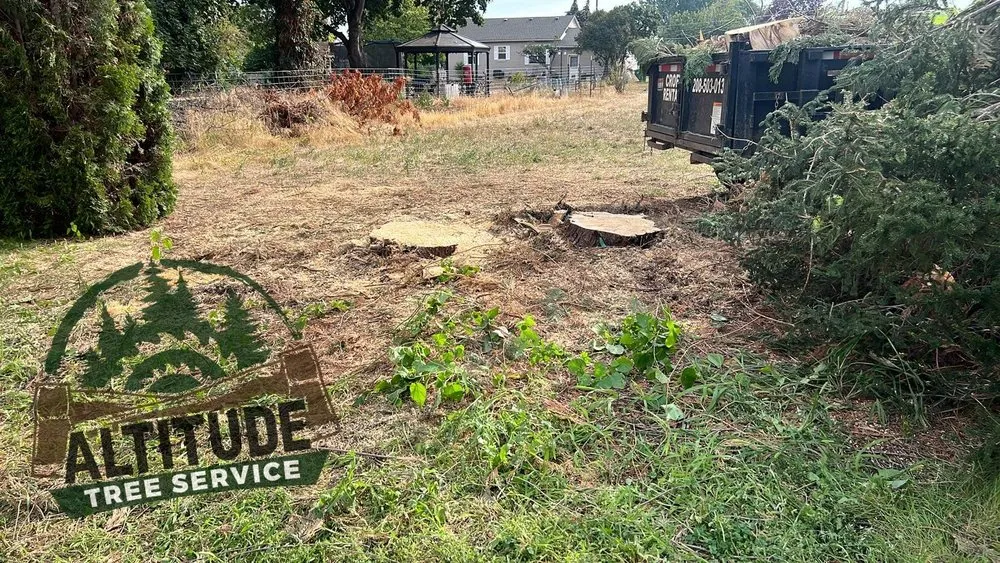 Local yard cleanup service in Lewiston, ID by Altitude Tree Service