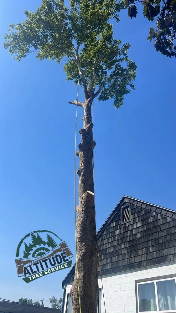 Reliable lawn mowing service for beautiful yards in Lewiston, ID by Altitude Tree Service