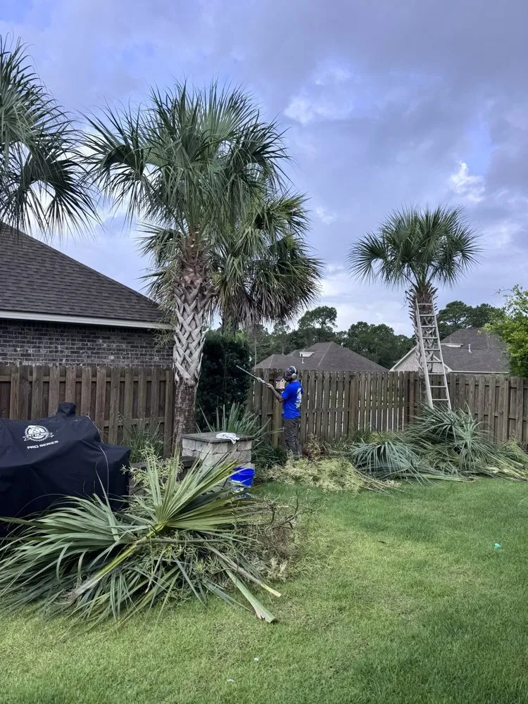Affordable yard maintenance for year-round maintenance in Gulf Breeze, FL by Altman Landscaping