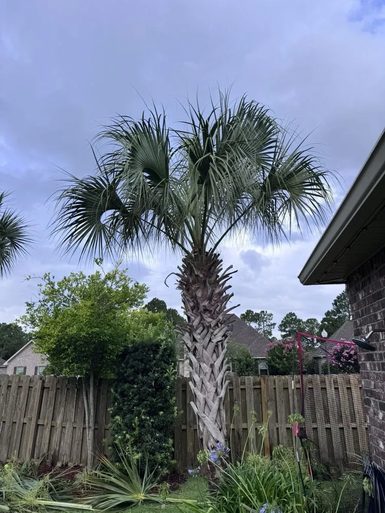 Professional residential landscaping experts serving Gulf Breeze, FL - Altman Landscaping