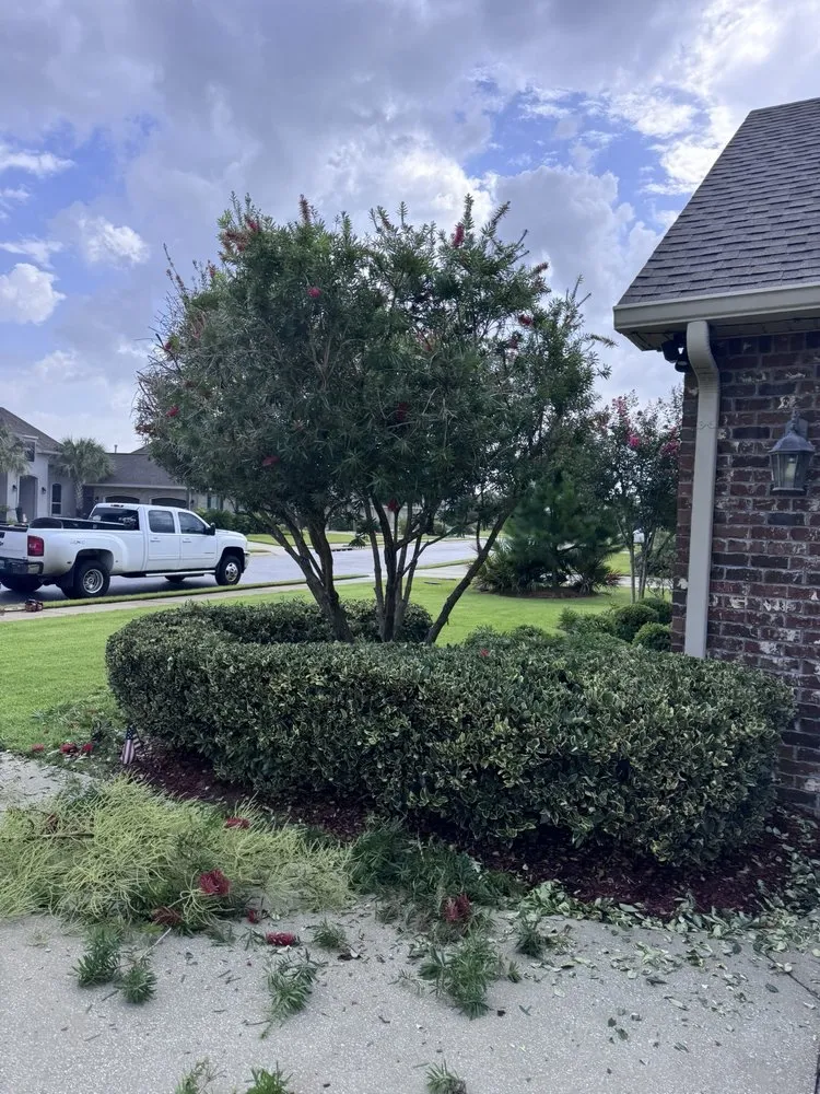 Professional yard cleanup service for outdoor upgrades across Gulf Breeze, FL - Altman Landscaping