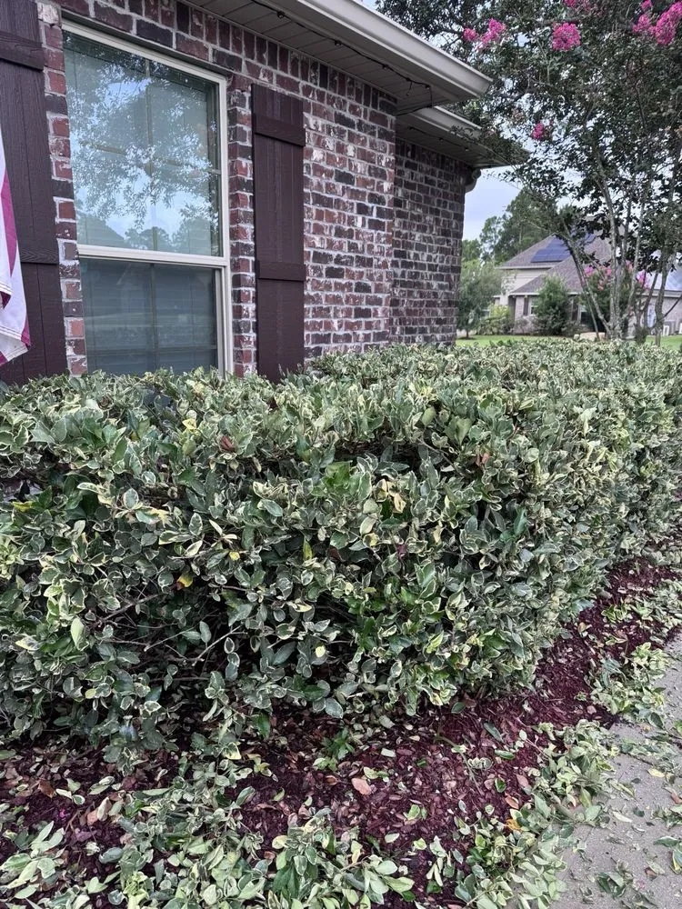 Local yard maintenance in Gulf Breeze, FL by Altman Landscaping