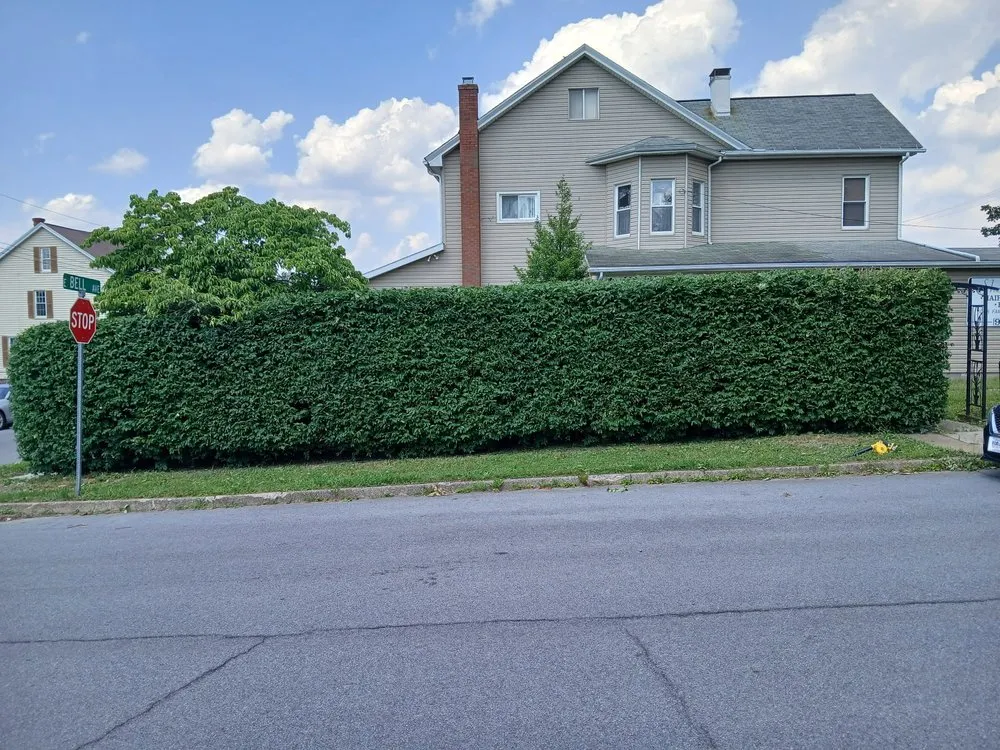 Professional landscaping services with custom design across Altoona, PA - Altoona's Most Reliable Construction & Lawncare