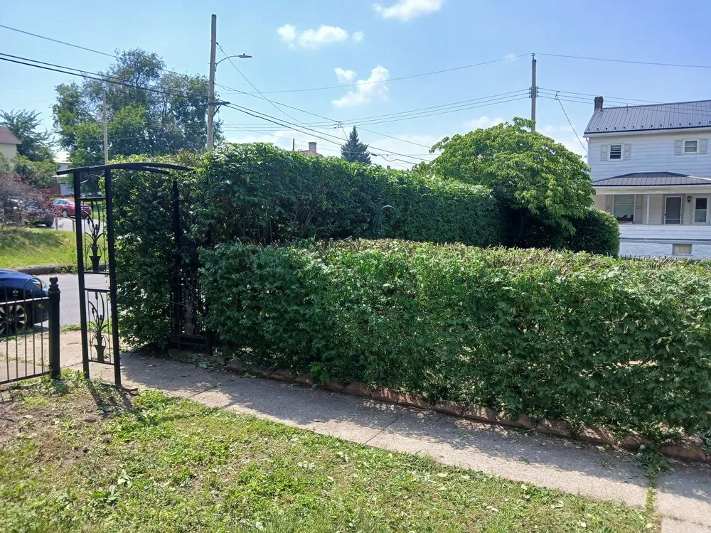 Expert landscape design for residential properties across Altoona, PA - Altoona's Most Reliable Construction & Lawncare