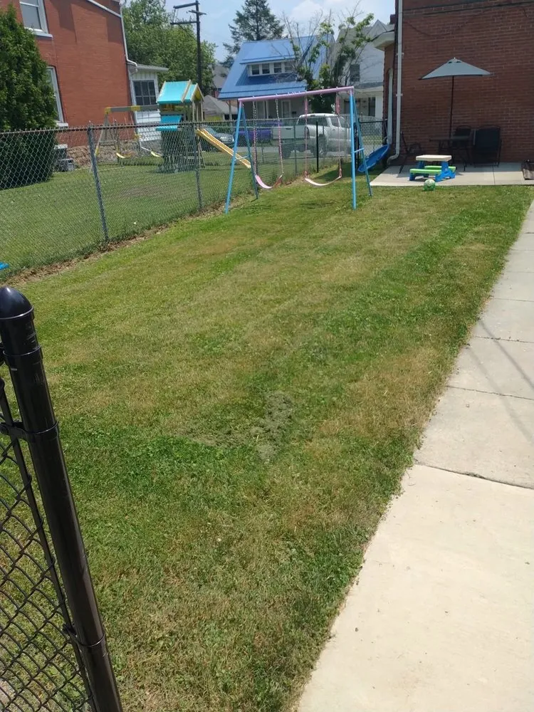 Top-rated lawn care service near you in Altoona, PA by Altoona's Most Reliable Construction & Lawncare