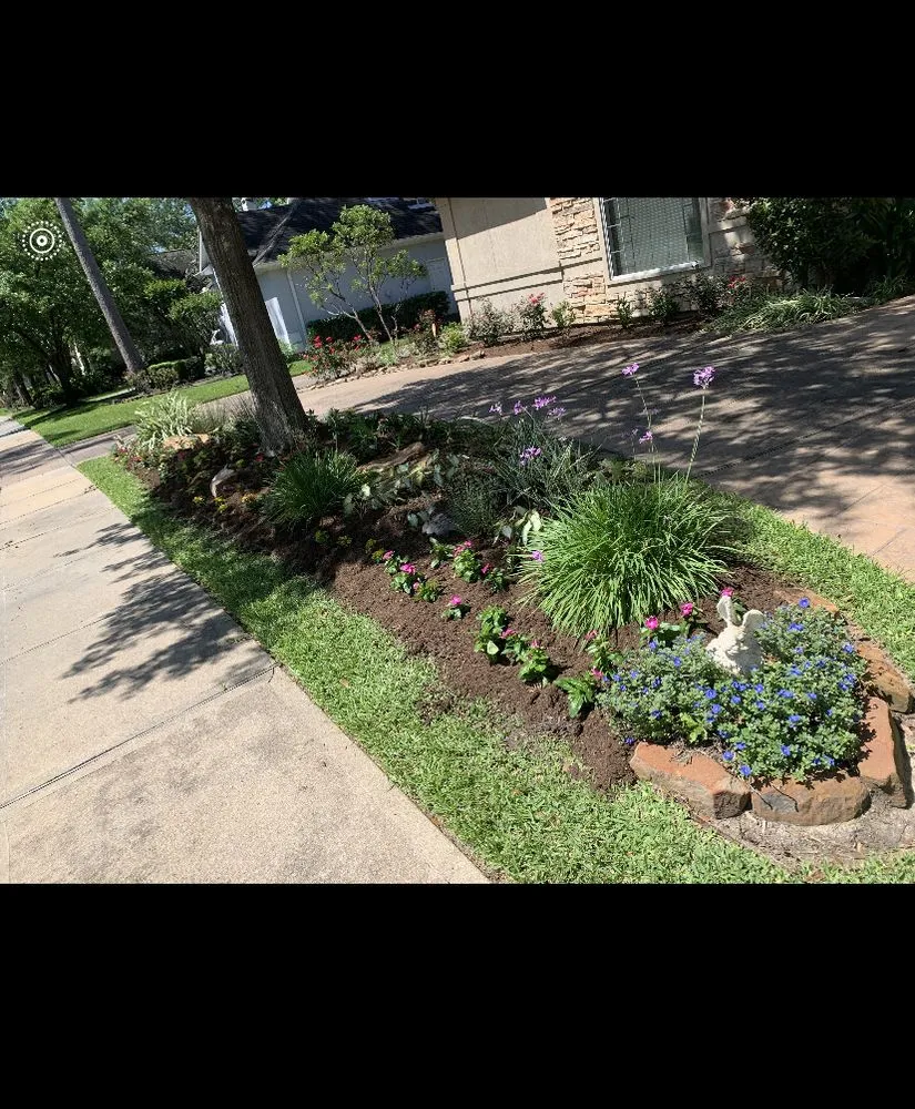 Local landscaping services in Houston, TX by Aluches
