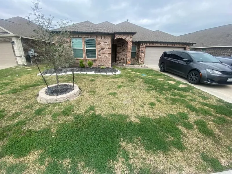 Expert landscape installation in Houston, TX - Aluches