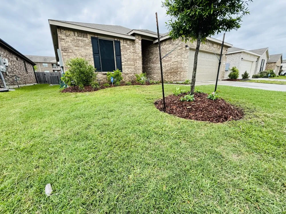 Affordable landscape installation in Houston, TX - Aluches