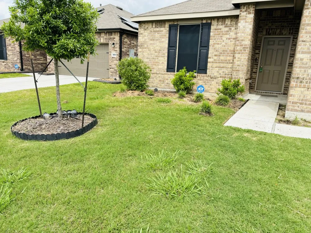 Reliable yard cleanup service for year-round maintenance across Houston, TX - Aluches
