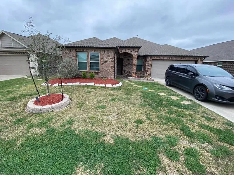 Affordable landscape design experts serving Houston, TX - Aluches