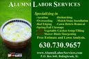 Custom yard cleanup service for outdoor upgrades across Bolingbrook, IL - Alumni Labor Services