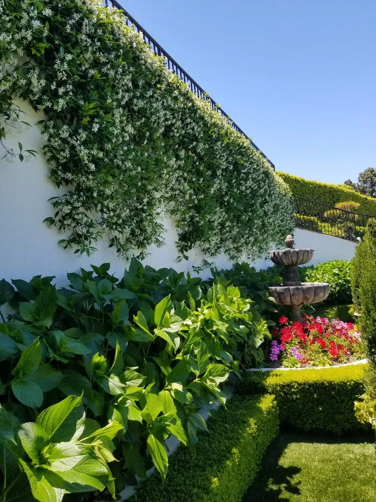 Top-rated yard cleanup service near you in Torrance, CA by A.LunaLand&Hardscape