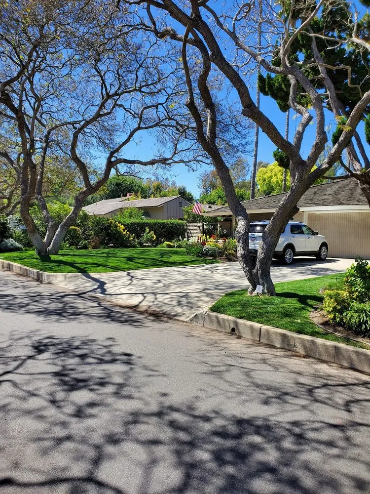 Professional landscape design in Torrance, CA by A.LunaLand&Hardscape