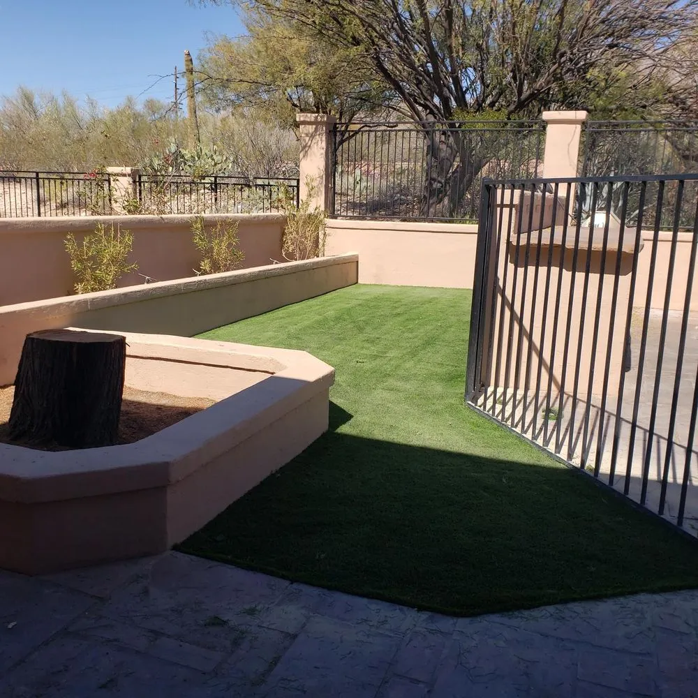 Expert lawn care service in Tucson, AZ - Alusky's Landscaping
