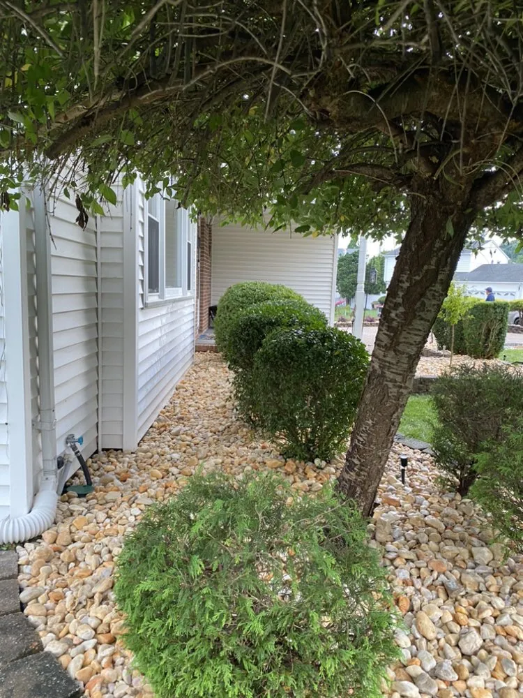 Reliable residential landscaping in Dunellen, NJ - Alva Tech