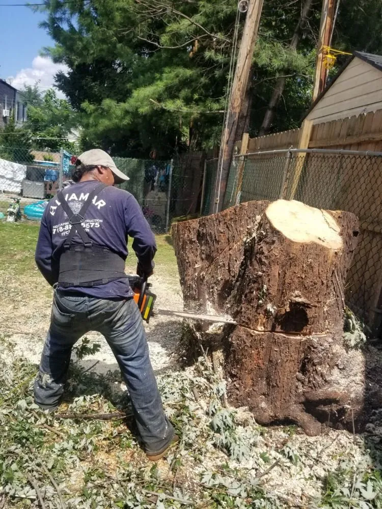 Local garden landscaping for outdoor upgrades across Forest Hills, NY - Alvamar Enterprise