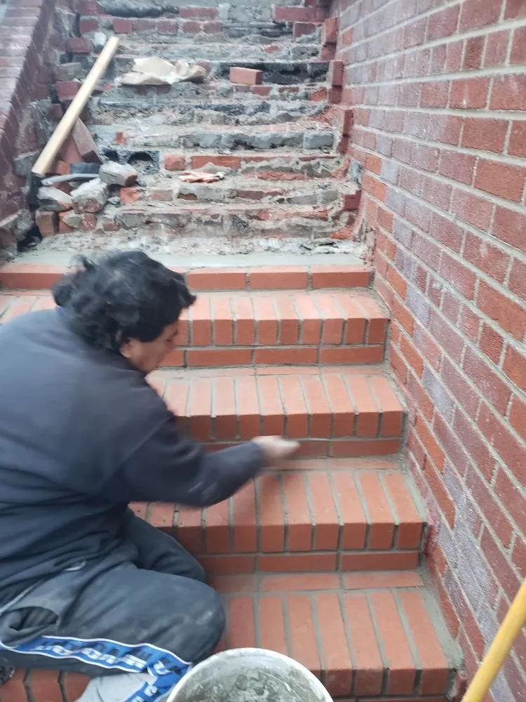 Affordable landscaping services for year-round maintenance across Forest Hills, NY - Alvamar Enterprise