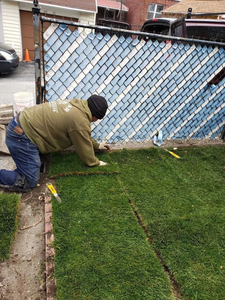 Affordable lawn care service experts serving Forest Hills, NY - Alvamar Enterprise