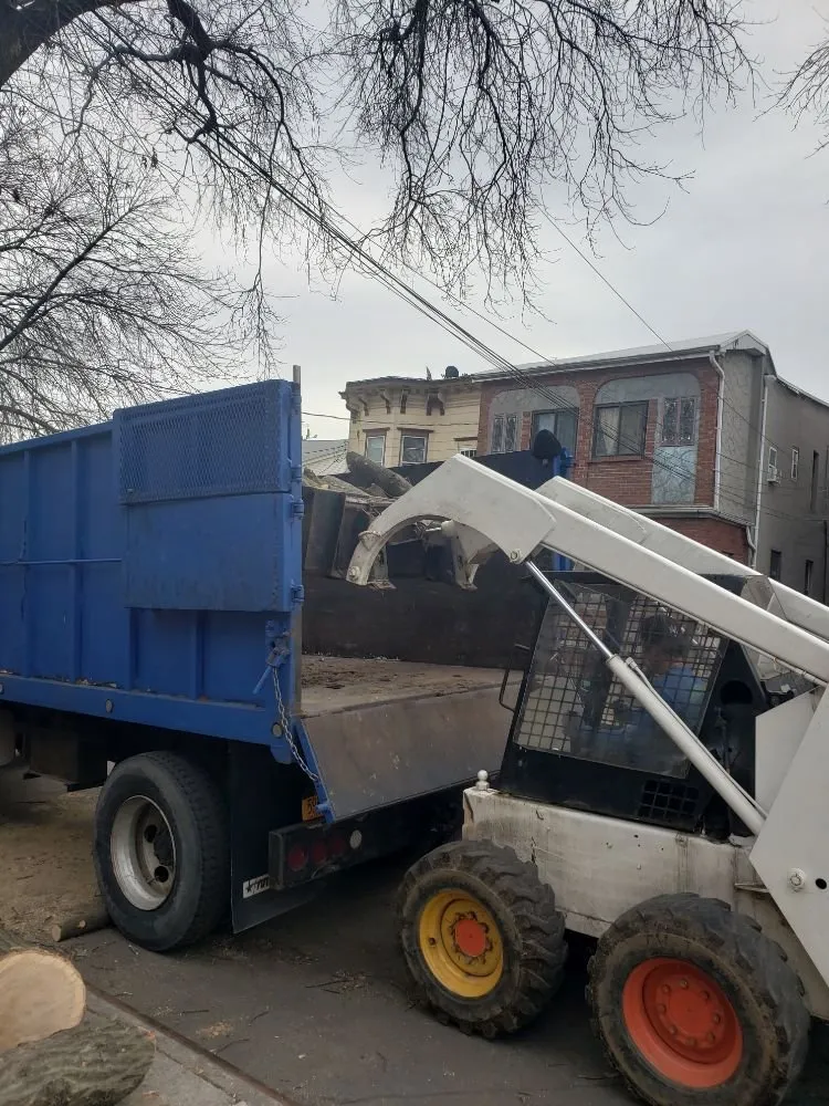 Top-rated outdoor landscaping for year-round maintenance in Forest Hills, NY by Alvamar Enterprise