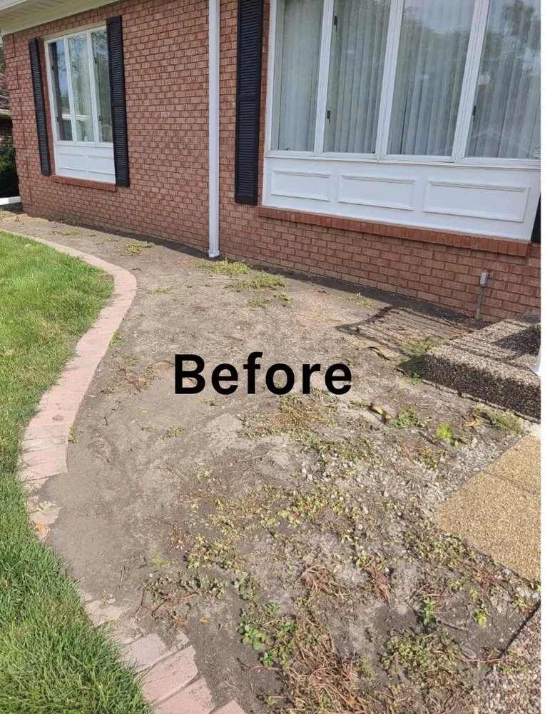 Professional lawn care service for year-round maintenance across East Moline, IL - Alvarado Landscape