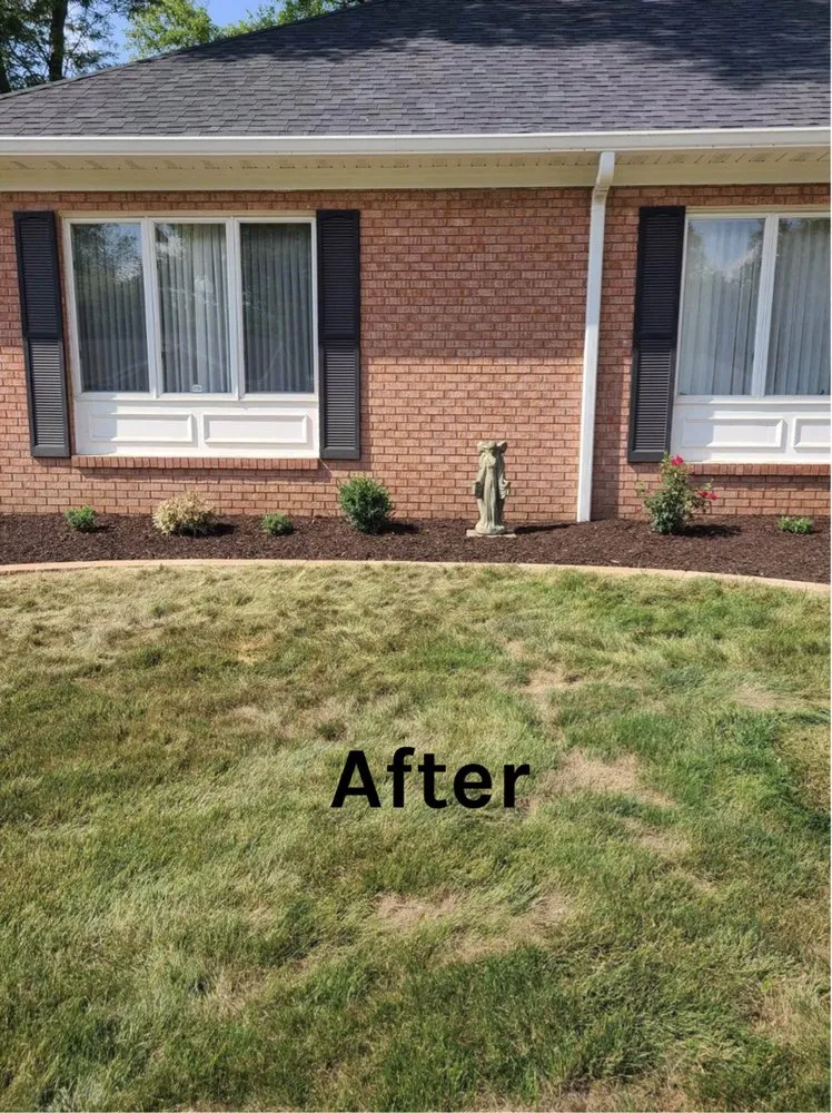 Top-rated landscaping services in East Moline, IL - Alvarado Landscape