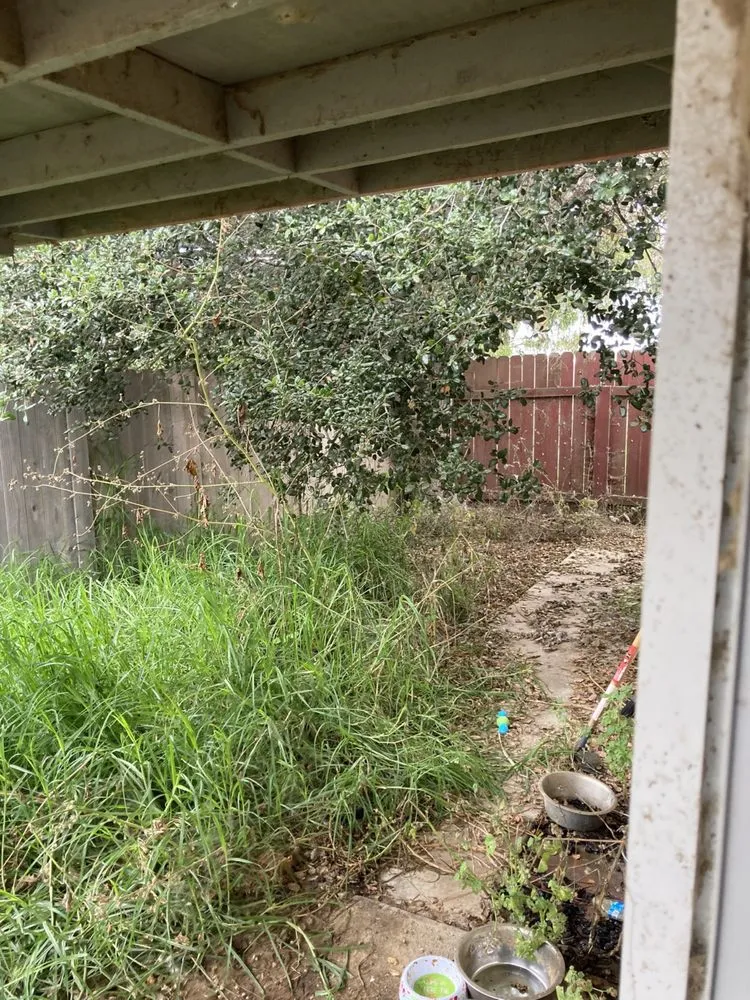 Trusted lawn care service experts serving Santa Maria, CA - Alvarado Landscape Maintenance