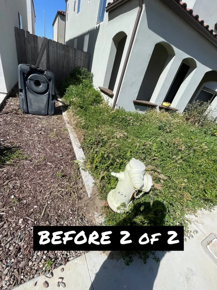 Top-rated lawn care service in Santa Maria, CA - Alvarado Landscape Maintenance