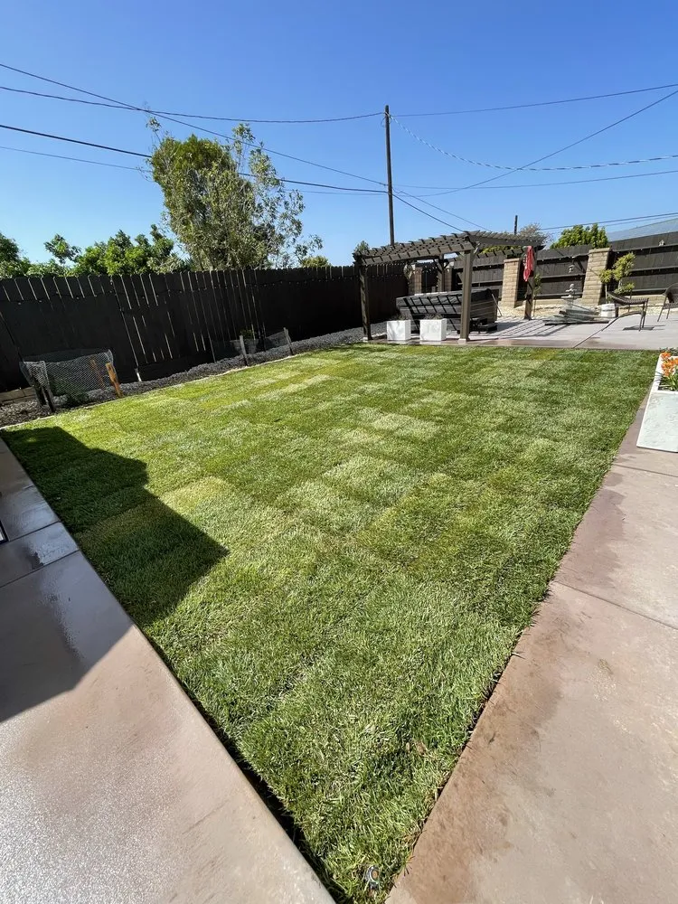 Reliable landscape installation for year-round maintenance across Santa Maria, CA - Alvarado Landscape Maintenance