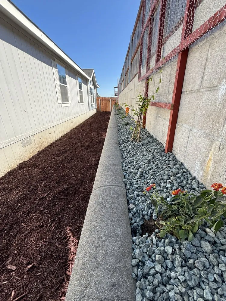 Custom yard cleanup service for year-round maintenance in Santa Maria, CA by Alvarado Landscape Maintenance