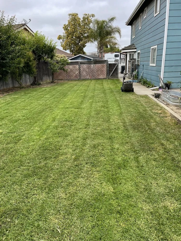 Custom lawn care service for outdoor upgrades across Santa Maria, CA - Alvarado Landscape Maintenance
