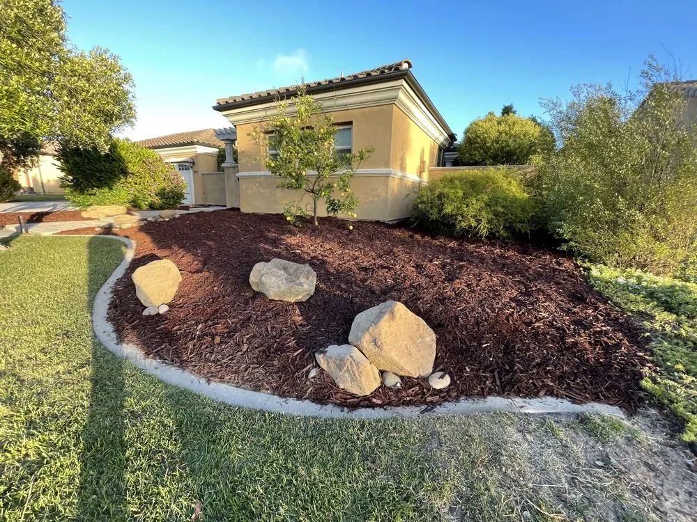 Local yard cleanup service experts serving Santa Maria, CA - Alvarado Landscape Maintenance
