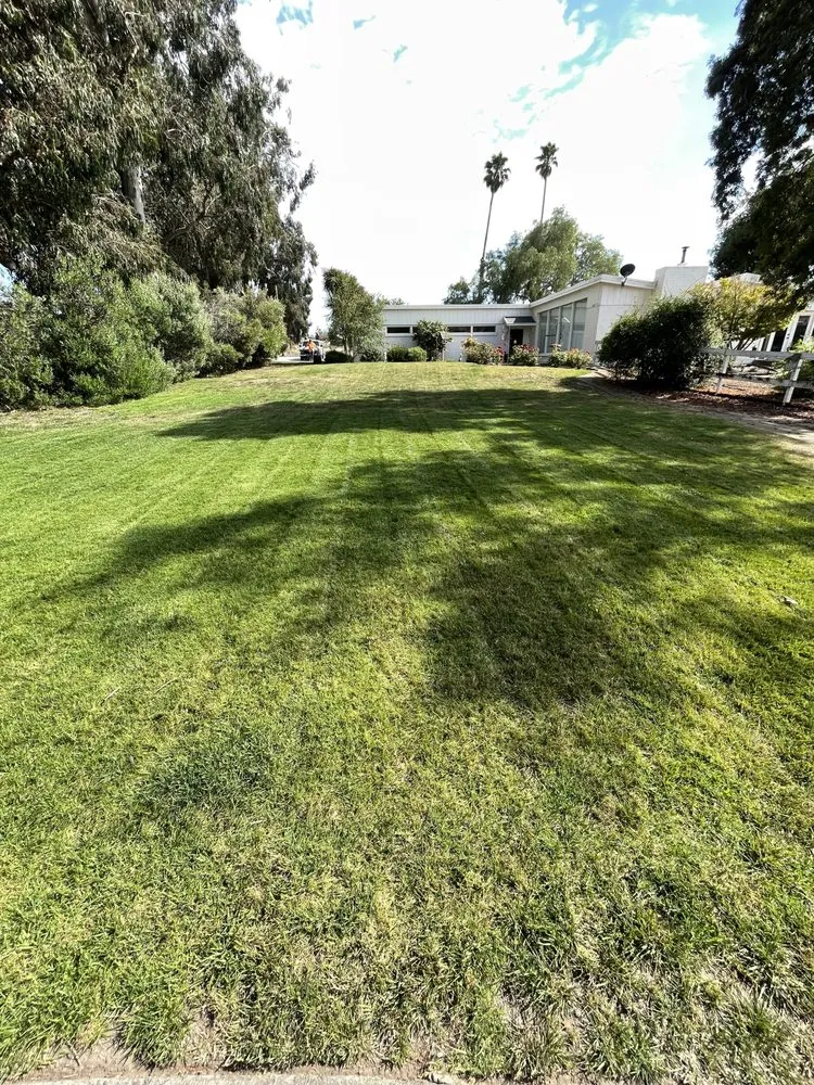 Top-rated yard cleanup service for outdoor upgrades in Santa Maria, CA by Alvarado Landscape Maintenance