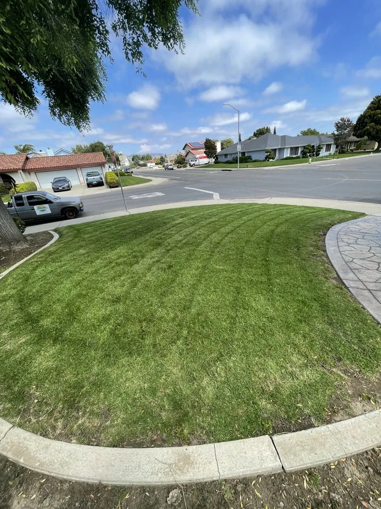 Local landscaping services experts serving Santa Maria, CA - Alvarado Landscape Maintenance