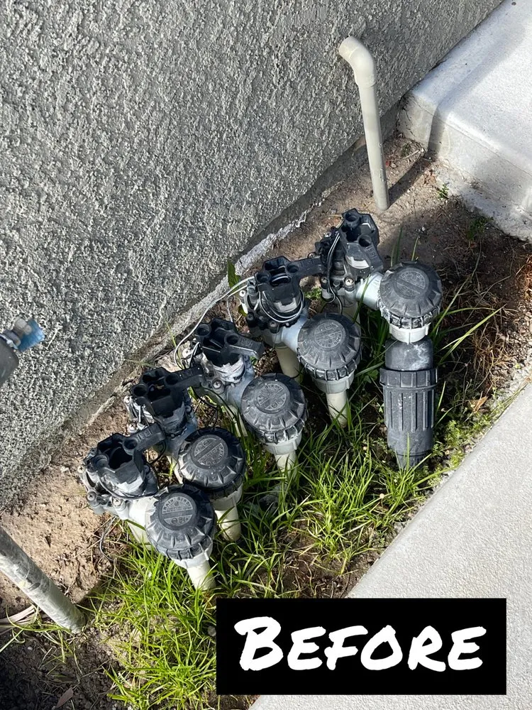 Reliable lawn care service experts serving Santa Maria, CA - Alvarado Landscape Maintenance