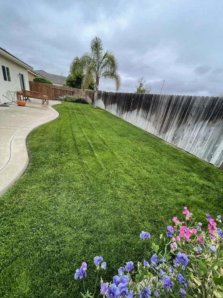 Top-rated landscape installation in Santa Maria, CA - Alvarado Landscape Maintenance