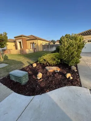 Alvarado Landscape Maintenance Logo