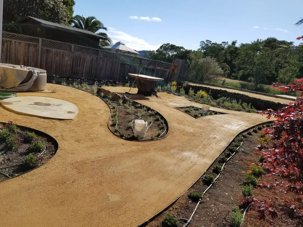 Trusted yard maintenance experts serving San Rafael, CA - Alvarado Landscapes