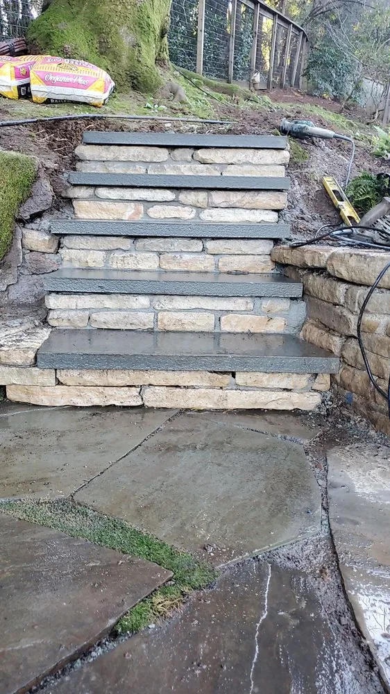 Local yard cleanup service for year-round maintenance across San Rafael, CA - Alvarado Landscapes