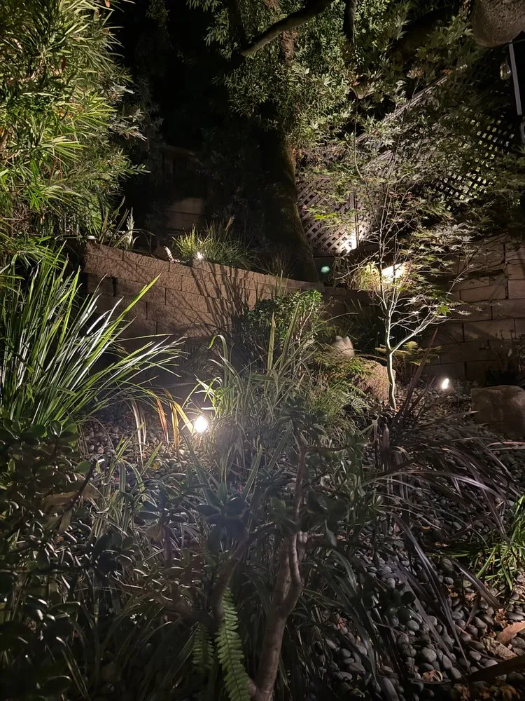 Affordable yard cleanup service with custom design in San Rafael, CA by Alvarado Landscapes