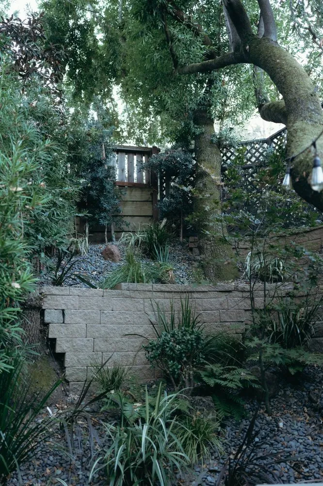 Local yard maintenance experts serving San Rafael, CA - Alvarado Landscapes