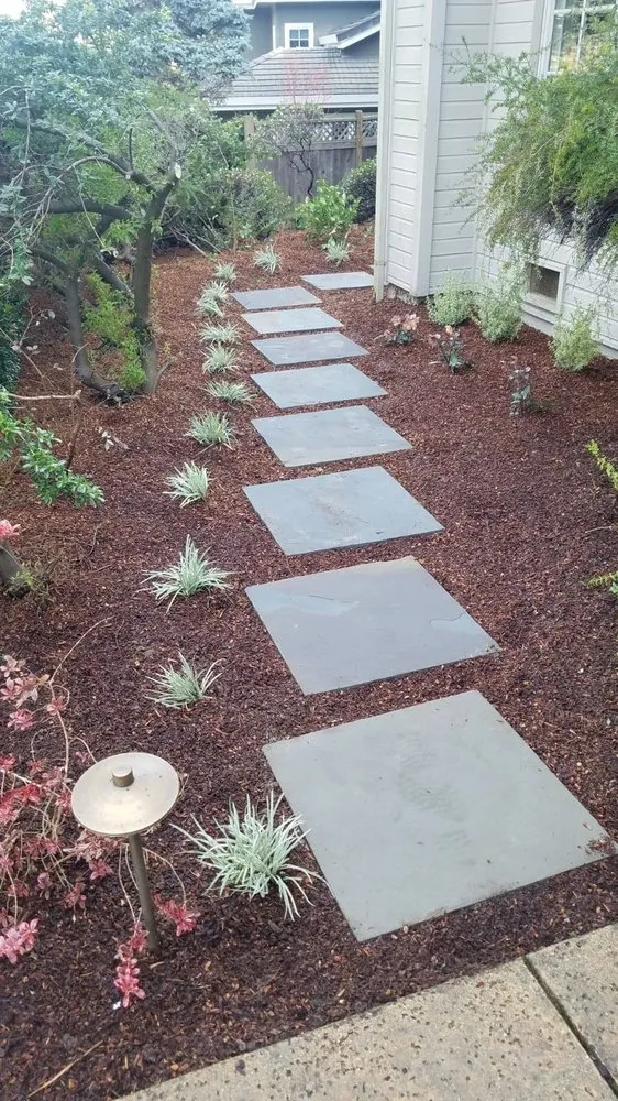 Expert landscape design in San Rafael, CA by Alvarado Landscapes