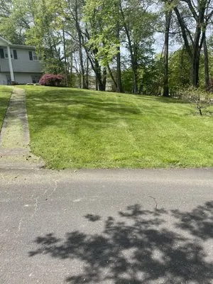 Alvarado Landscaping