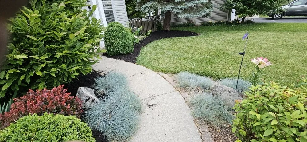 Professional yard cleanup service for residential properties in Harvard, IL by Alvarado Landscaping