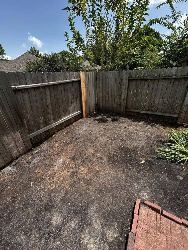 Local yard cleanup service experts serving Houston, TX - Alvarado Landscaping