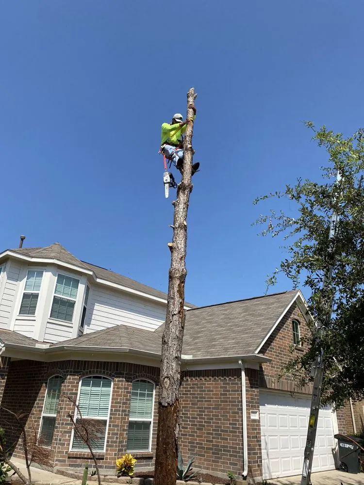 Reliable residential landscaping experts serving Houston, TX - Alvarado Landscaping