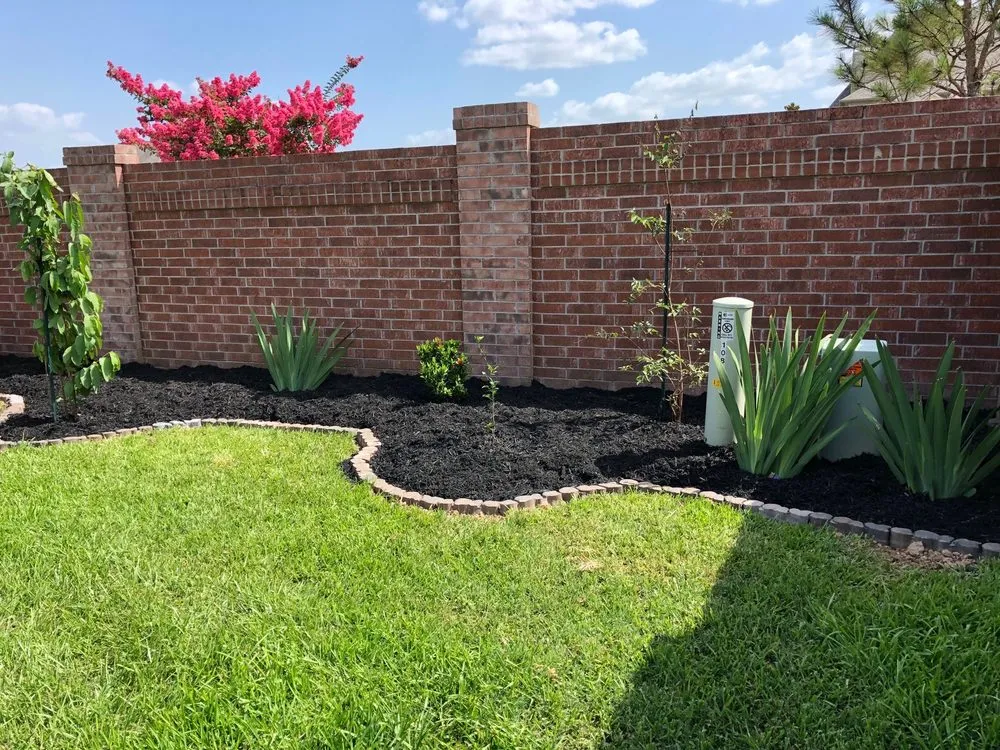 Top-rated lawn care service for year-round maintenance across Houston, TX - Alvarado Landscaping