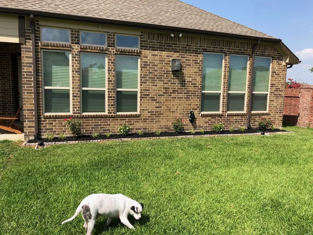 Local landscape design in Houston, TX - Alvarado Landscaping