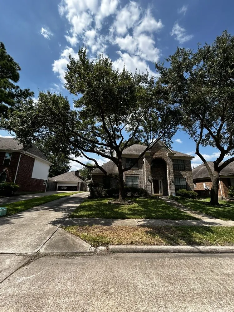 Expert landscape design for outdoor upgrades across Houston, TX - Alvarado Landscaping