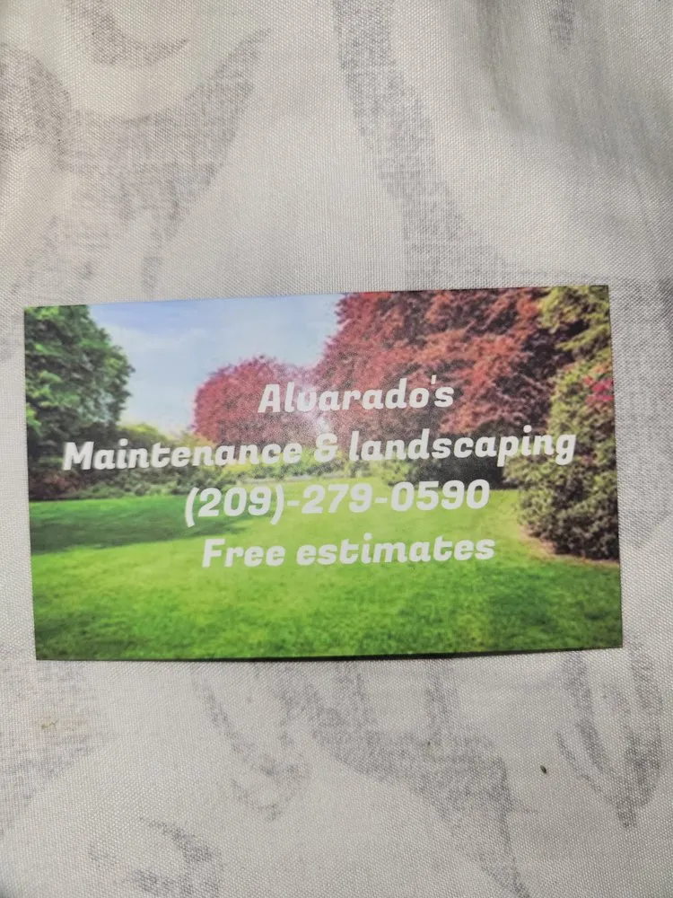 Custom lawn care service in Lathrop, CA by Alvarado Landscaping